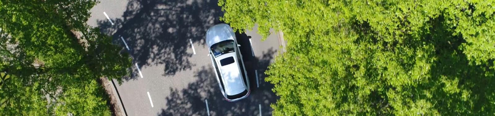 Anfahrt Ein Auto fährt auf einer Straße. Am Straßenrand stehen grüne Bäume.