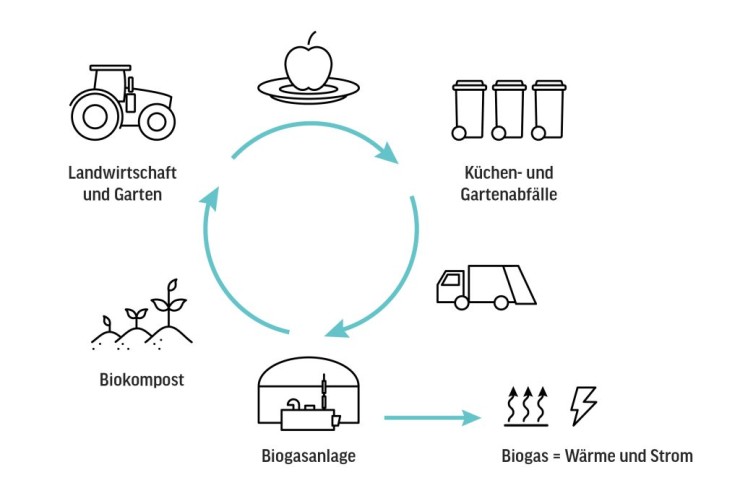 Kreislaufgrafik Bioabfall