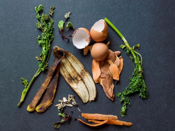 Bioabfall liegt auf einer Küchenablage