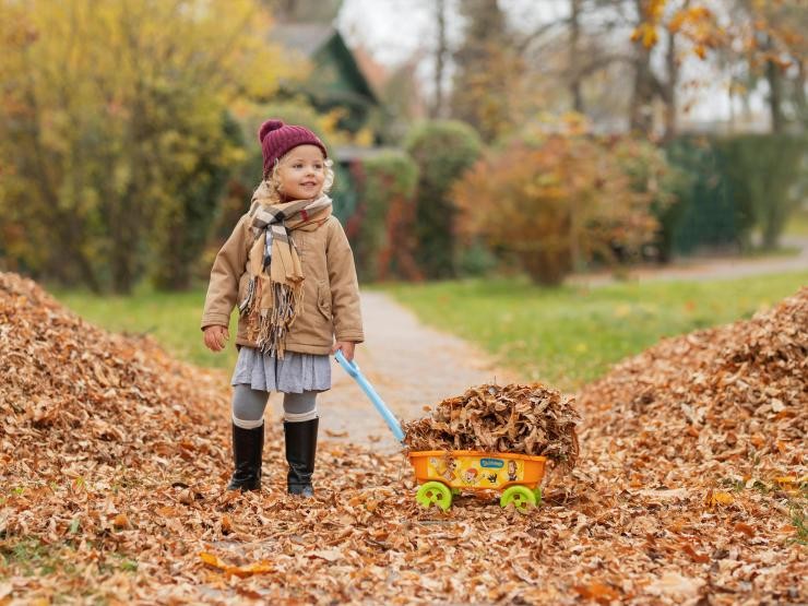 Ein Mädchen zwischen großen Laubhaufen im Garten. Ein Mädchen steht mit einem kleinen Anhänger im Garten zwischen großen Laubhaufen, auch der Anhänger ist mit Laub gefüllt. Das Mädchen schaut zufrieden.
