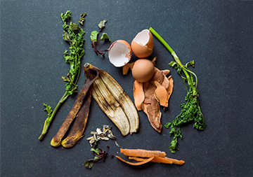 Bioabfall auf grauem Hintergrund