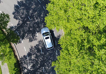 Ein Auto fährt auf einer Straße. Am Straßenrand stehen grüne Bäume.