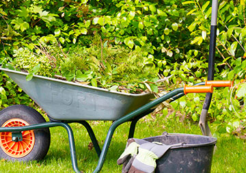 Eine mit Grünabfällen befüllte Schubkarre steht im Garten